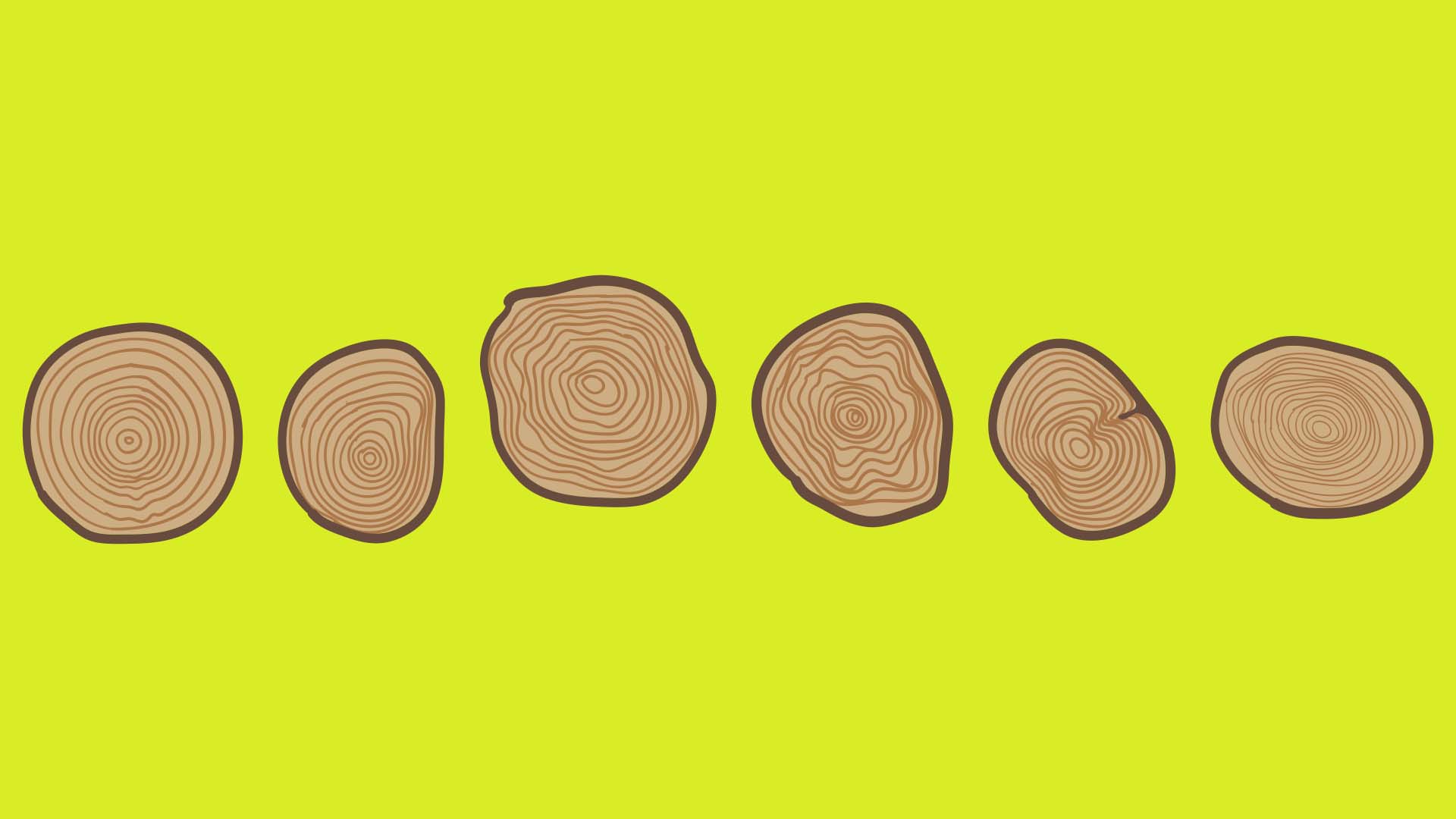 Cross-cut slices of rounded tree logs